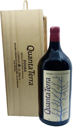 Quanta Terra Cota 600 Magnum