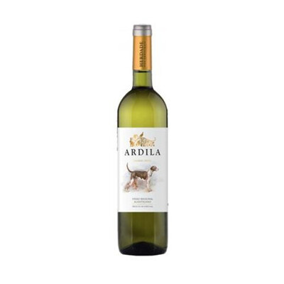 Ardila