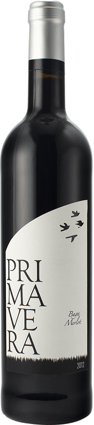 Primavera Classico (Comemoração 80 Anos)