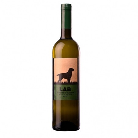 Lab - Região De Lisboa
