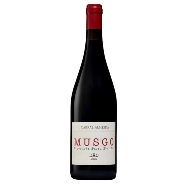 Musgo