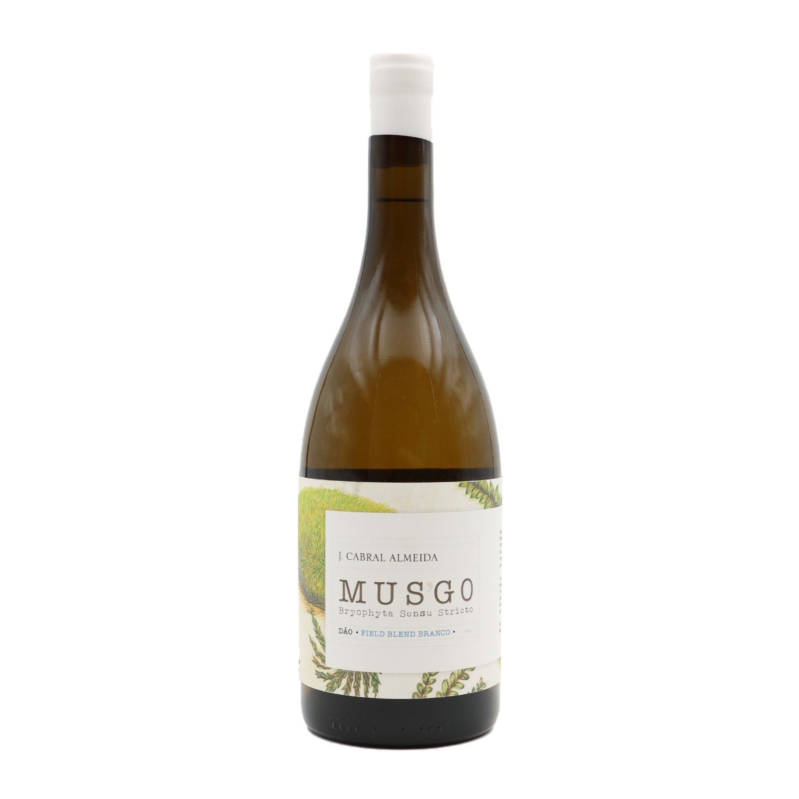 Musgo Field Blend